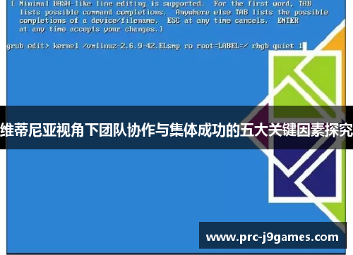 维蒂尼亚视角下团队协作与集体成功的五大关键因素探究 维蒂尼亚视角下团队协作与集体成功的五大关键因素探究