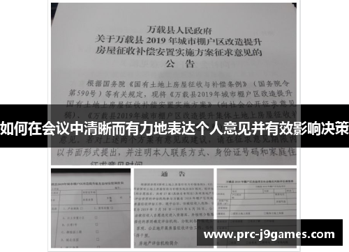 如何在会议中清晰而有力地表达个人意见并有效影响决策