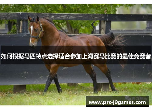 如何根据马匹特点选择适合参加上海赛马比赛的最佳竞赛者
